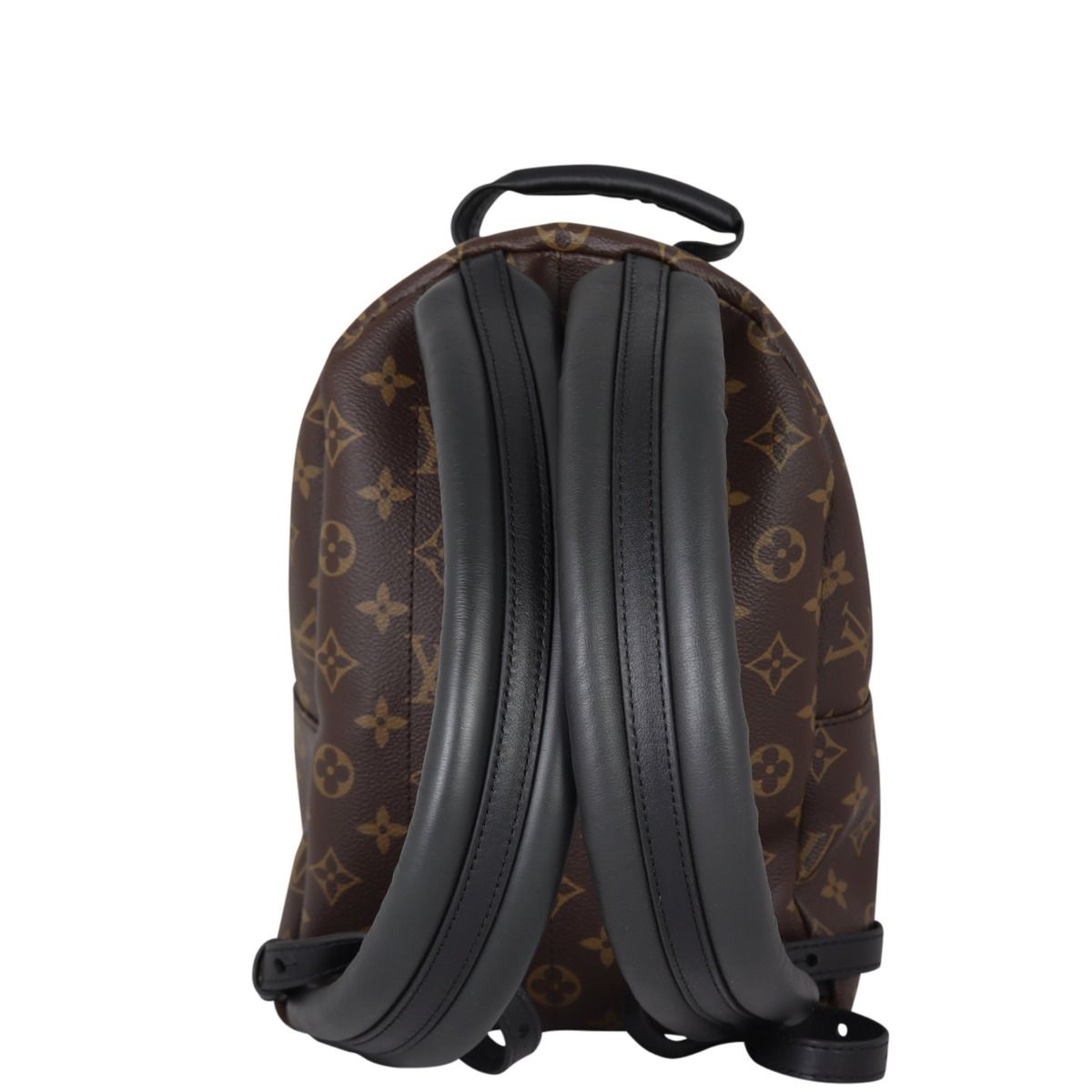 Louis Vuitton Palm Springs Backpack PM Monogram Louis Vuitton Palm Springs Backpack PM Monogram
