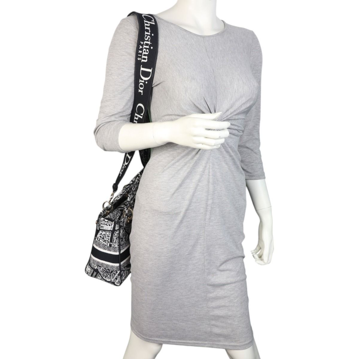 Dior Lady D-Lite Medium Plan de Paris