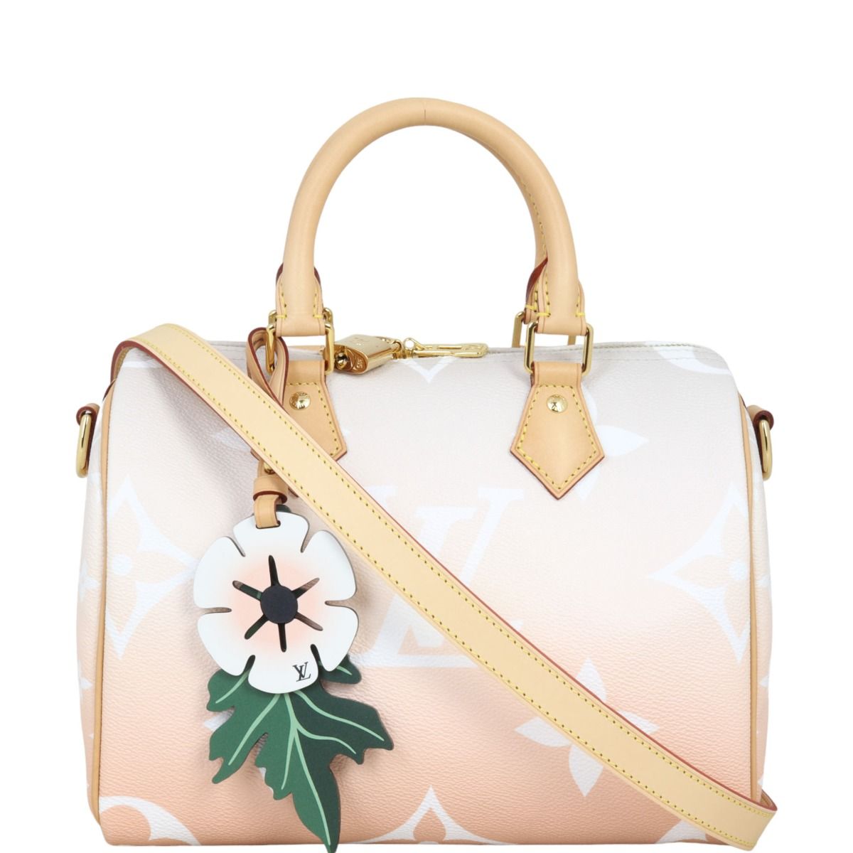 Louis vuitton speedy 25 new hot sale