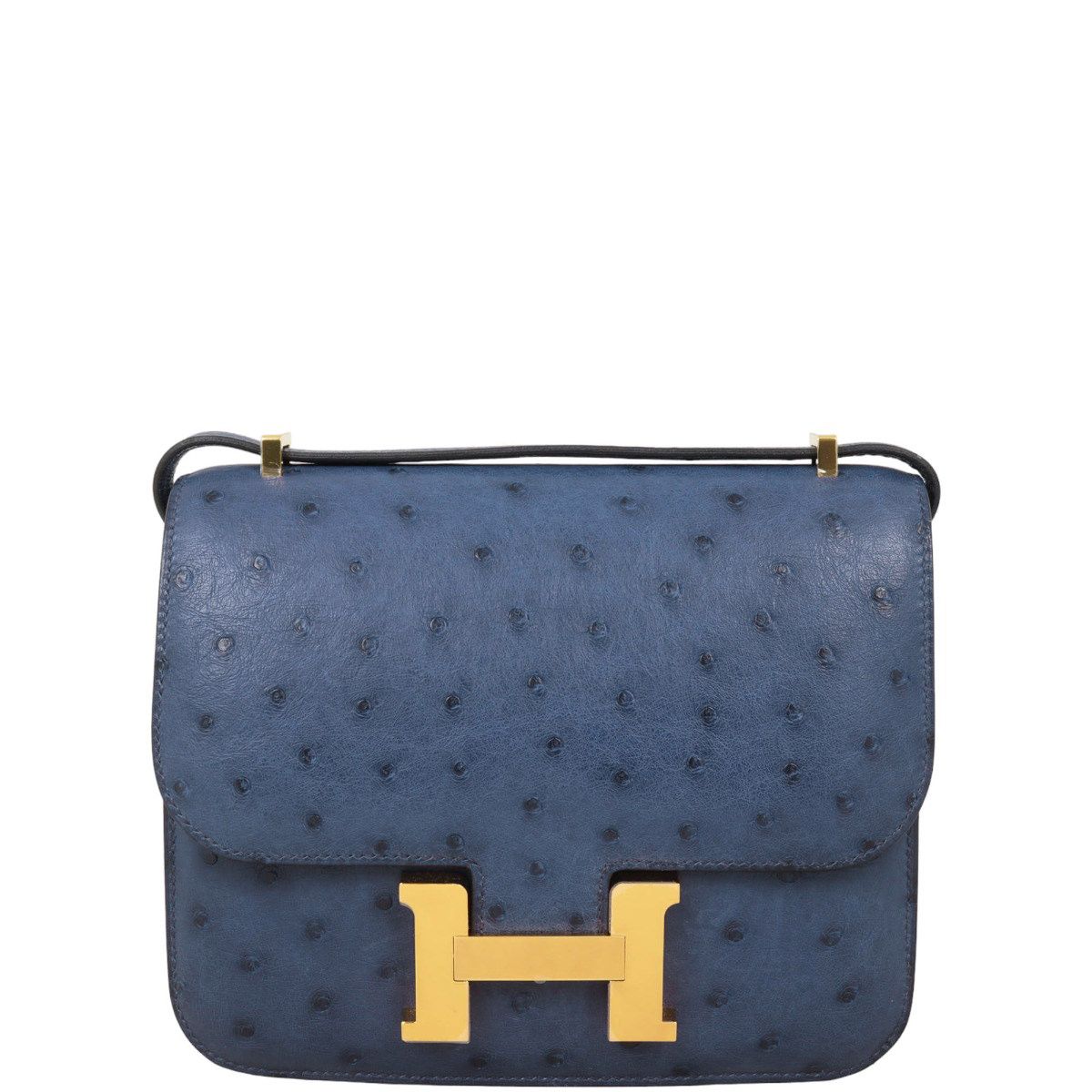 Ostrich constance outlet