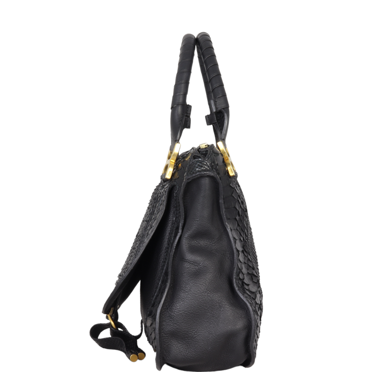 Chloe Marcie Satchel Python