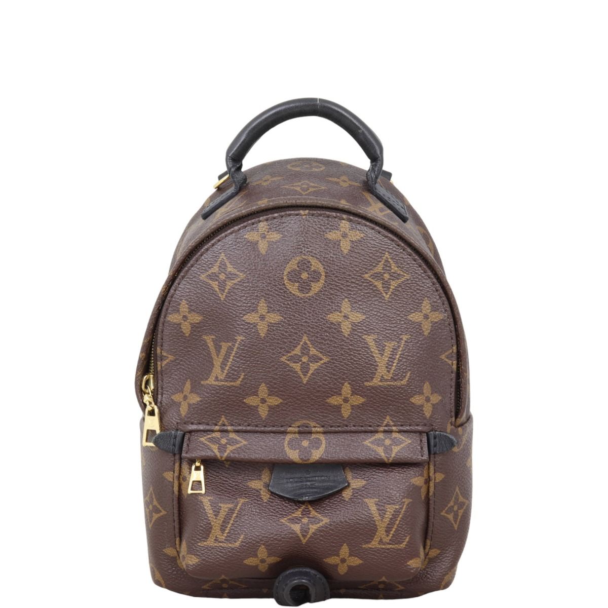 Louis Vuitton Palm Springs Mini Backpack Monogram