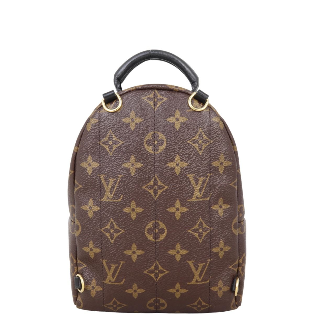 Louis Vuitton Palm Springs Mini Backpack Monogram