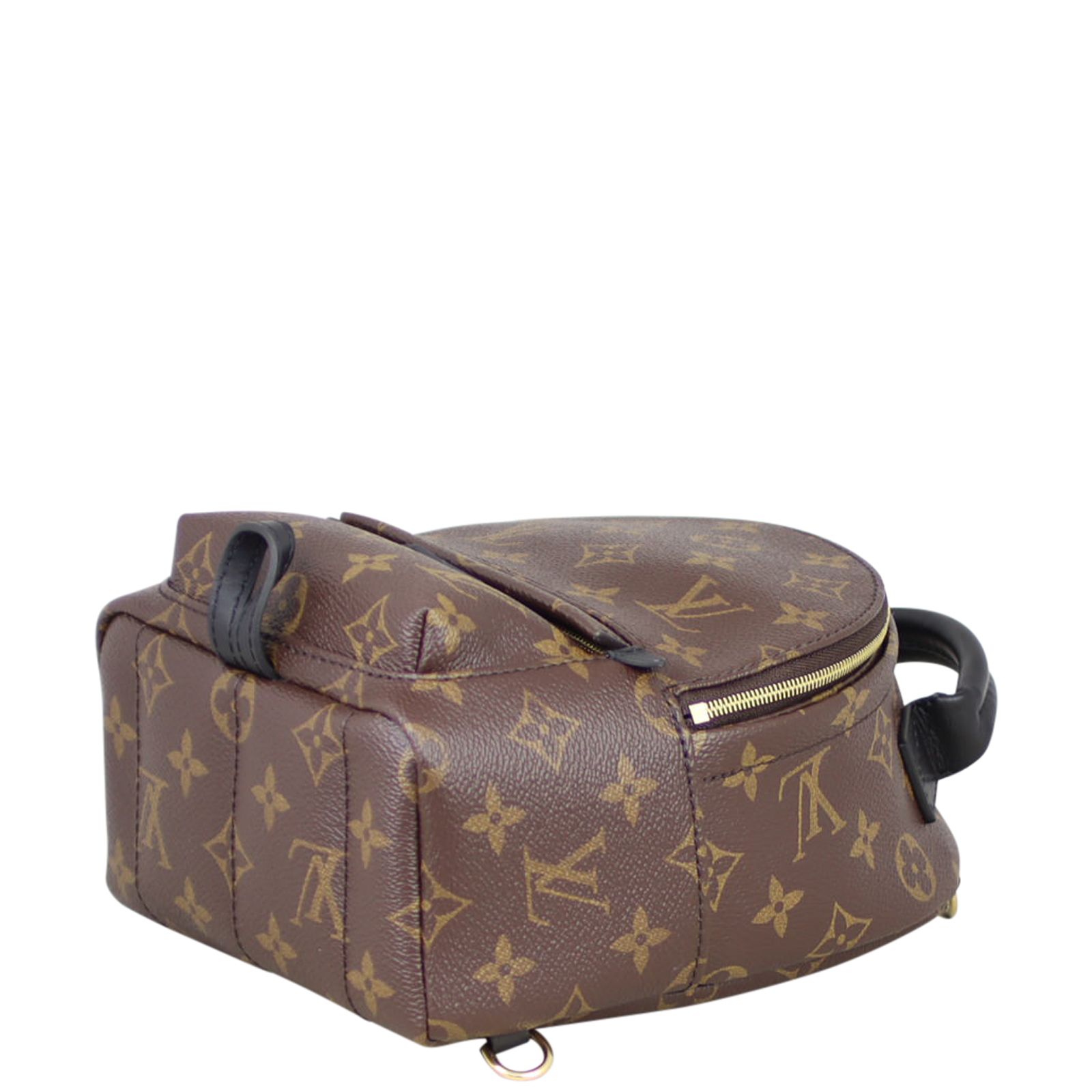 Louis Vuitton Palm Springs Mini Backpack Monogram