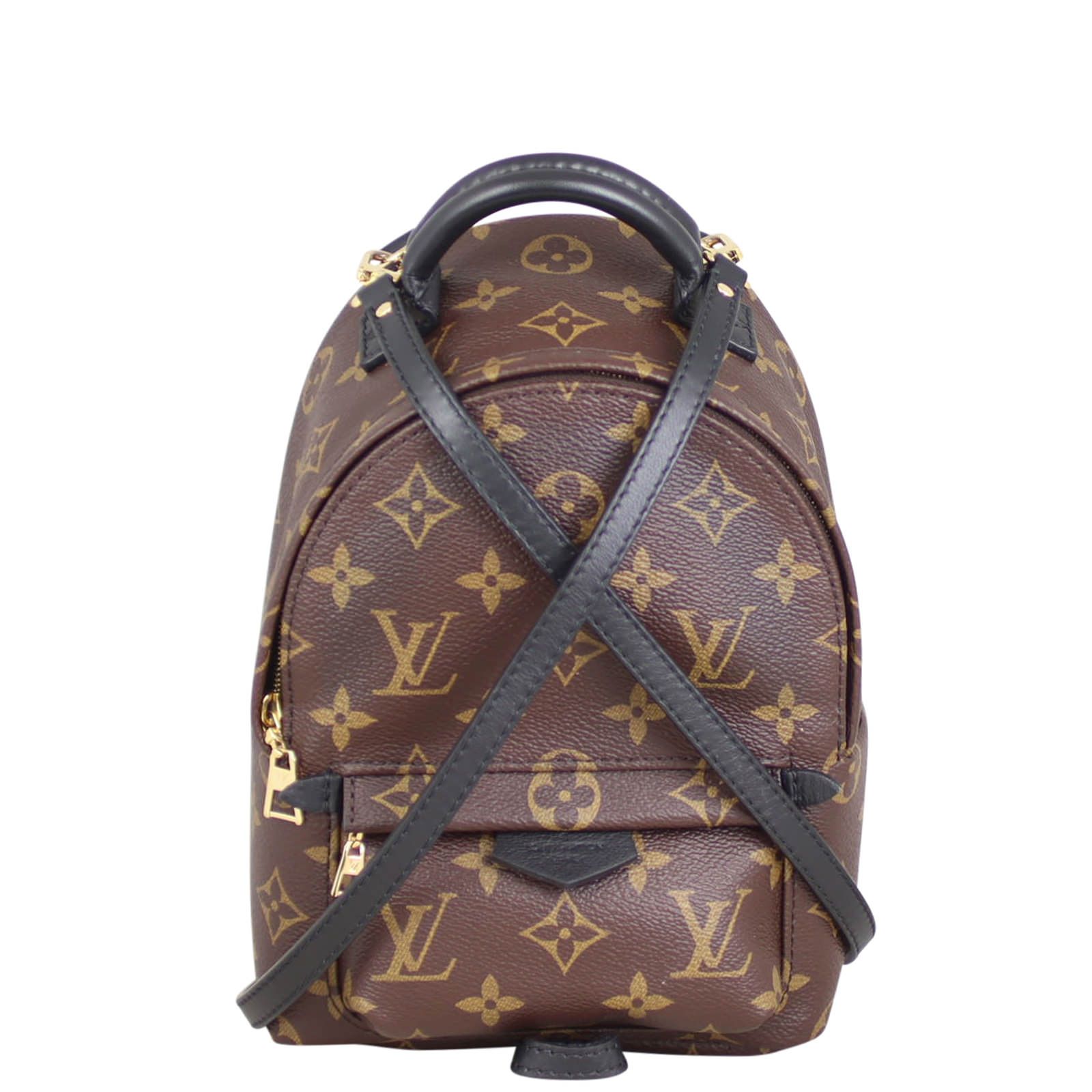 Louis Vuitton Palm Springs Mini Backpack Monogram