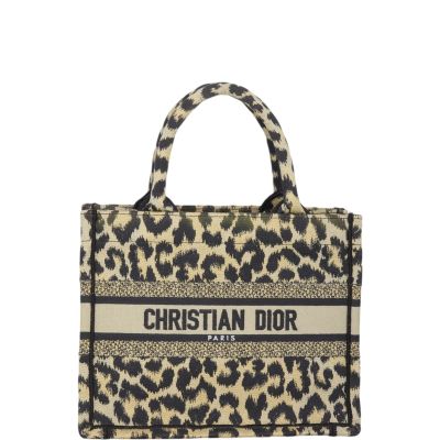 Dior Book Tote Small