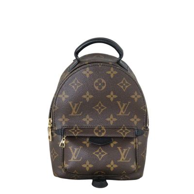 Louis Vuitton Palm Springs Mini Backpack Monogram