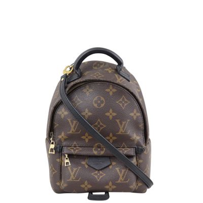 Louis Vuitton Palm Springs Mini Backpack Front