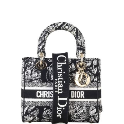 Dior Lady D-Lite Medium Plan de Paris