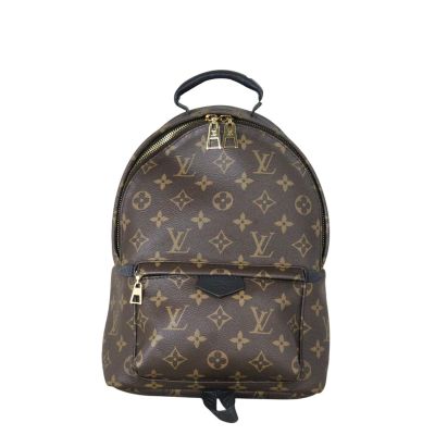 Louis Vuitton Palm Springs Backpack PM Monogram