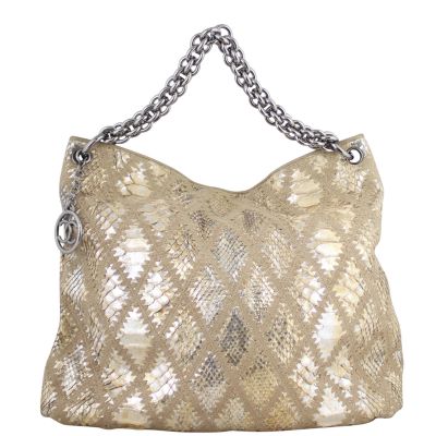 Chanel Python Soft Chain Hobo Front