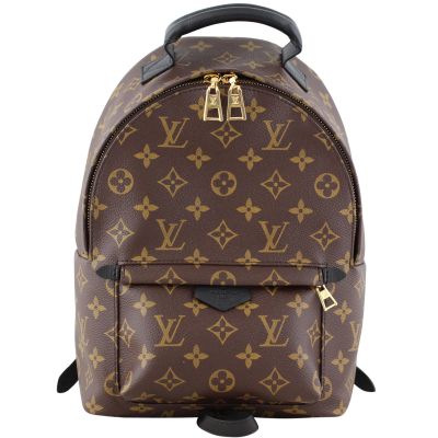 Louis Vuitton Palm Springs Backpack PM Monogram Front